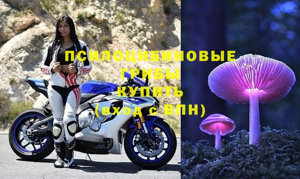 а пвп мука Богородск