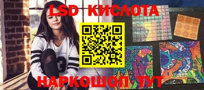 стафф Вязьма