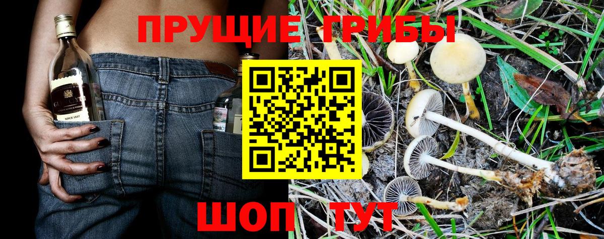Галлюциногенные грибы мухоморы Богородицк